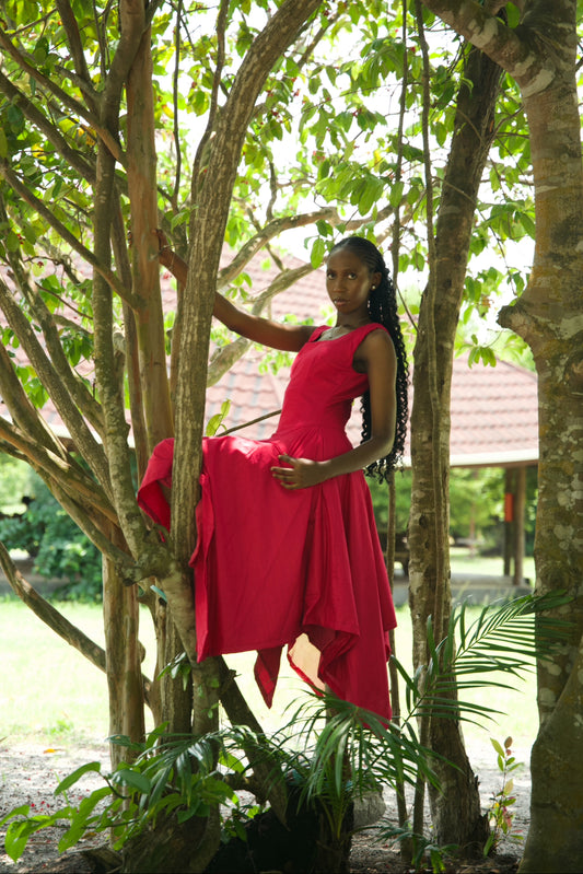 The Nabila Agwai Dress