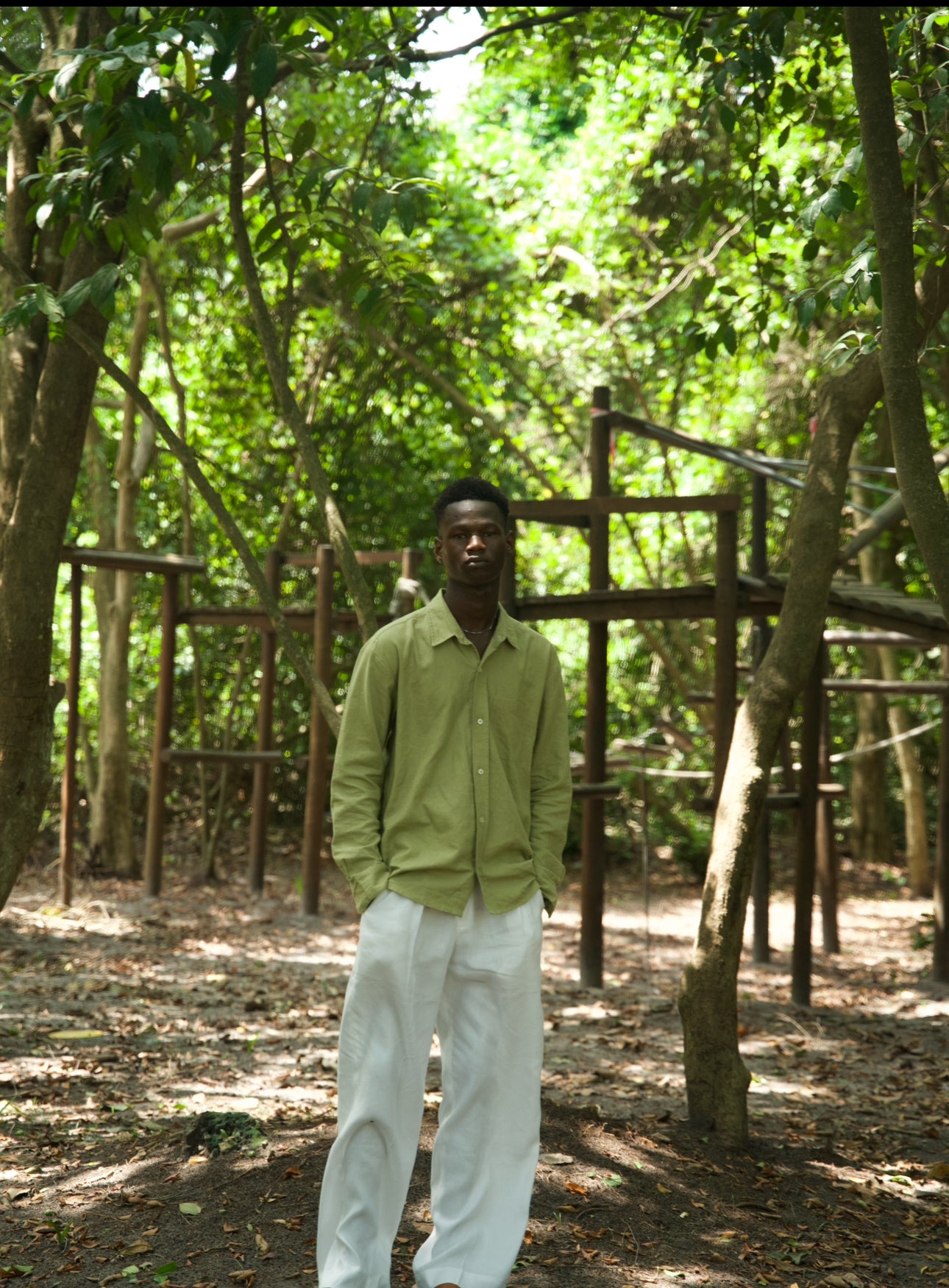 Pistachio Grove & Off White Linen