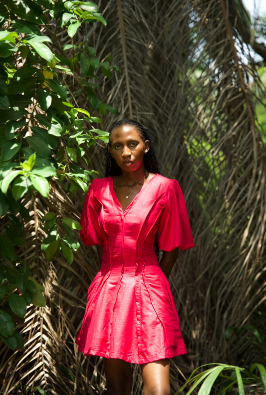 The Kimani Moore Dress