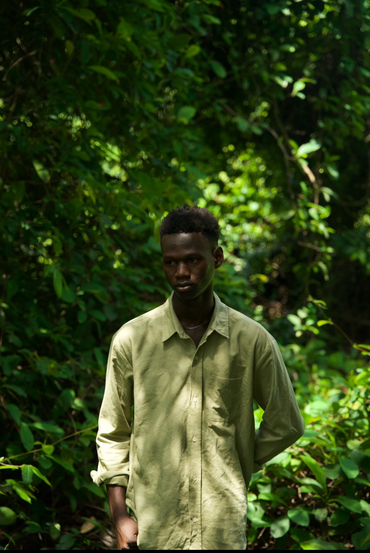 Pistachio Grove & Off White Linen