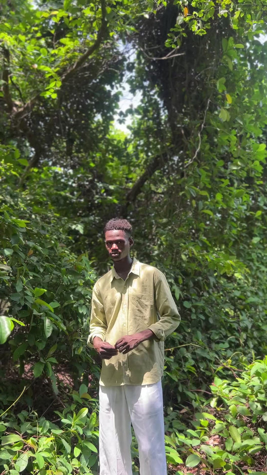 Pistachio Grove & Off White Linen